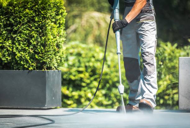 Best Sidewalk and Walkway Cleaning  in Campton Hls, IL